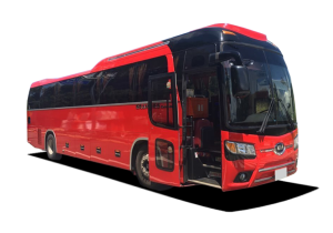 Аренда автобуса КИА Гранд (44 места)