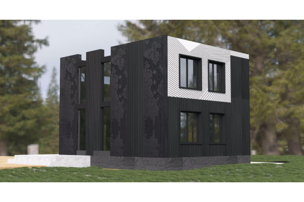 Монолитный двухэтажный дом ЧИОС 120 (White-Box)