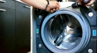 Замена манжеты стиральной машины LG